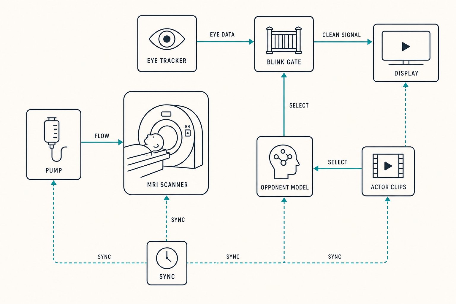 Two-panel schematic: entity-driven website on the left, fMRI experiment apparatus on the right